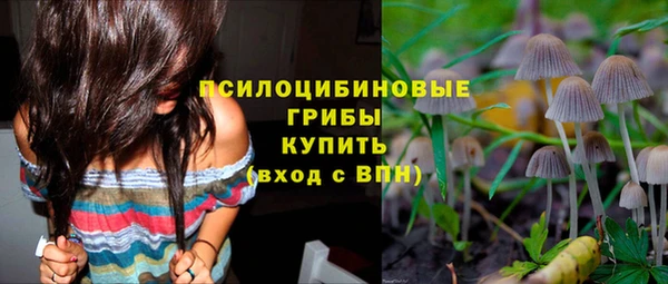 дмт Воткинск
