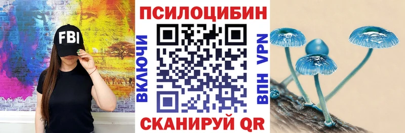 Псилоцибиновые грибы Psilocybe  Калязин 